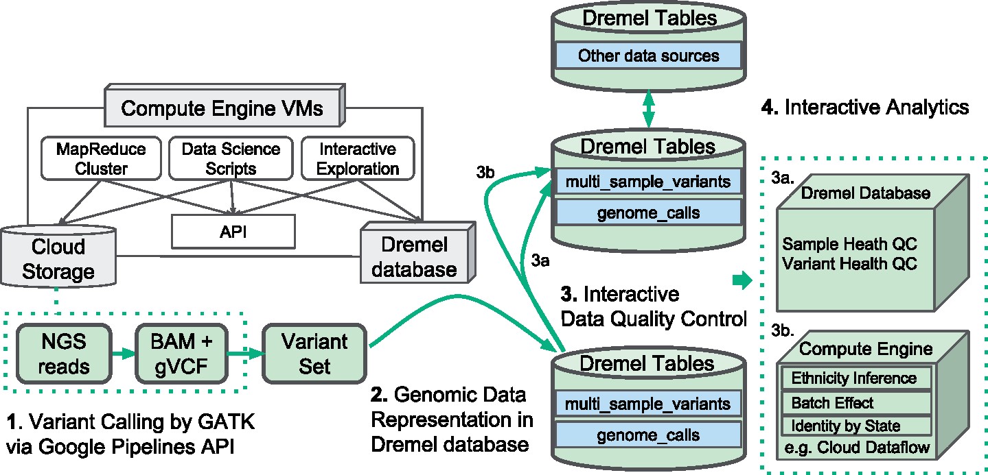 Cloud-based interactive analytics for terabytes of genomic variants data