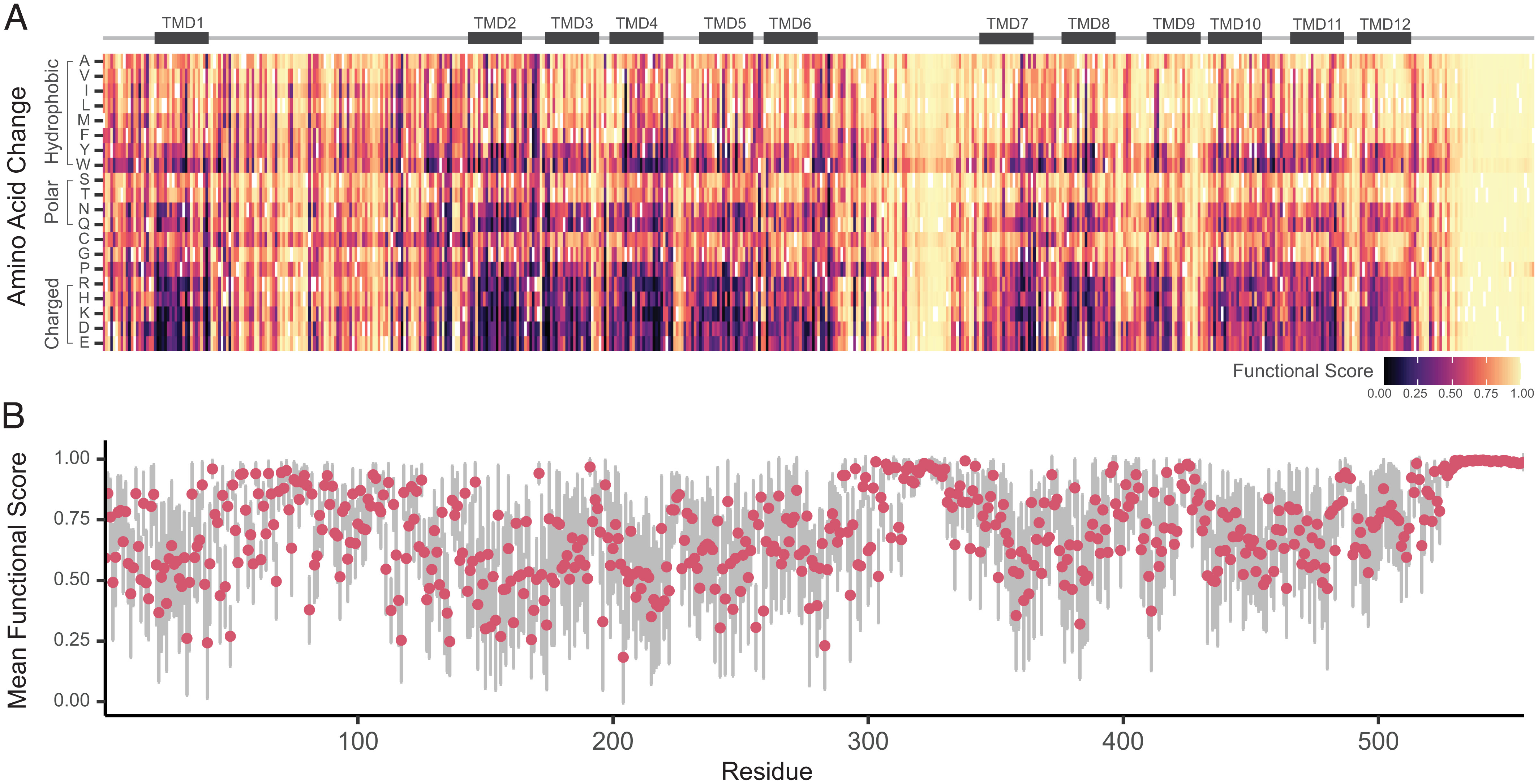Large-scale functional characterization of OCTN2 variants informs protein-specific variant effect predictor for Carnitine Transporter Deficiency