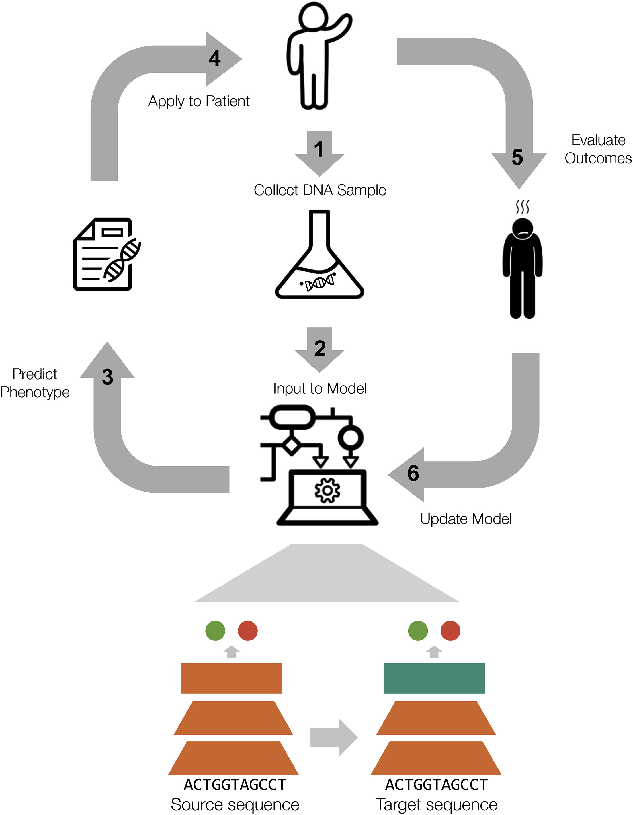 Opportunities and challenges for interpreting rare variation in clinically important genes