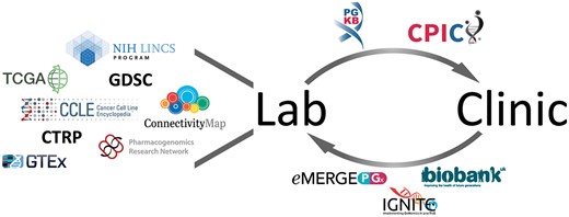 Pharmacogenomics and big genomic data: from lab to clinic and back again
